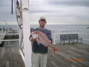 Tim Rambridge - 3.4kg Snapper wins comp 3